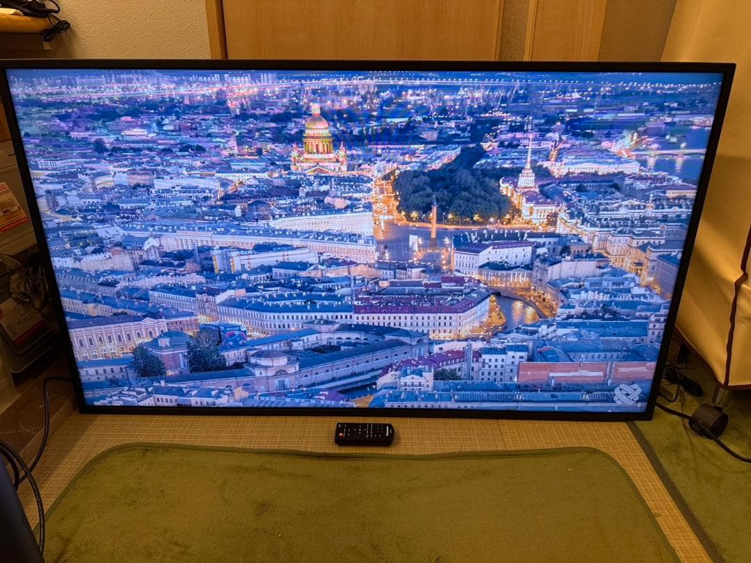 極美品！Panasonic　パナソニック 48型 モニター　TH-48LFE8J