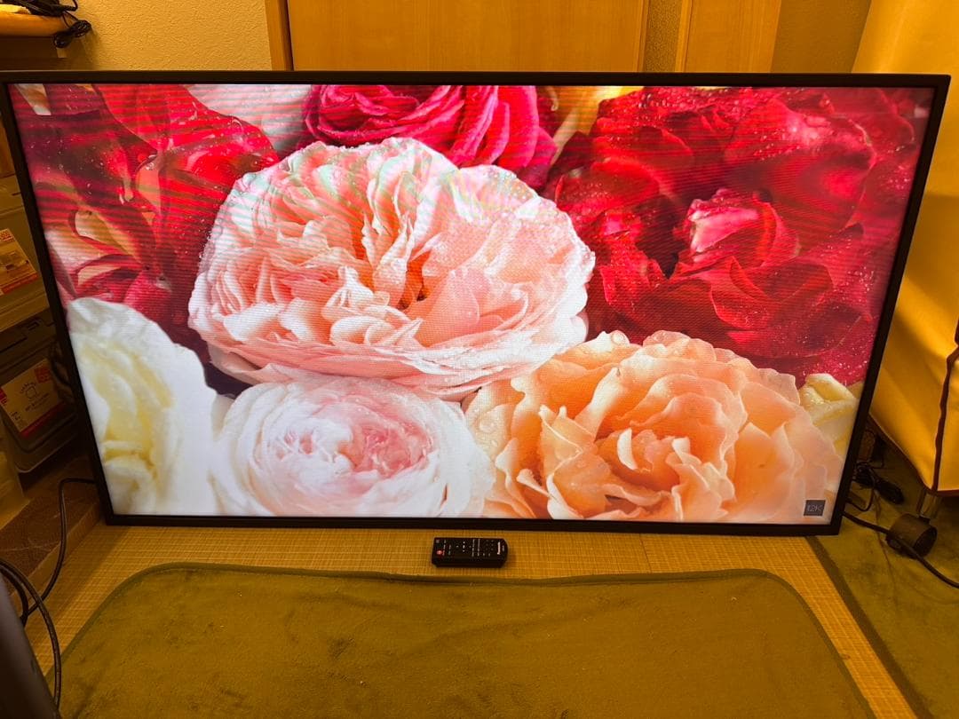 極美品！Panasonic　パナソニック 48型 モニター　TH-48LFE8J