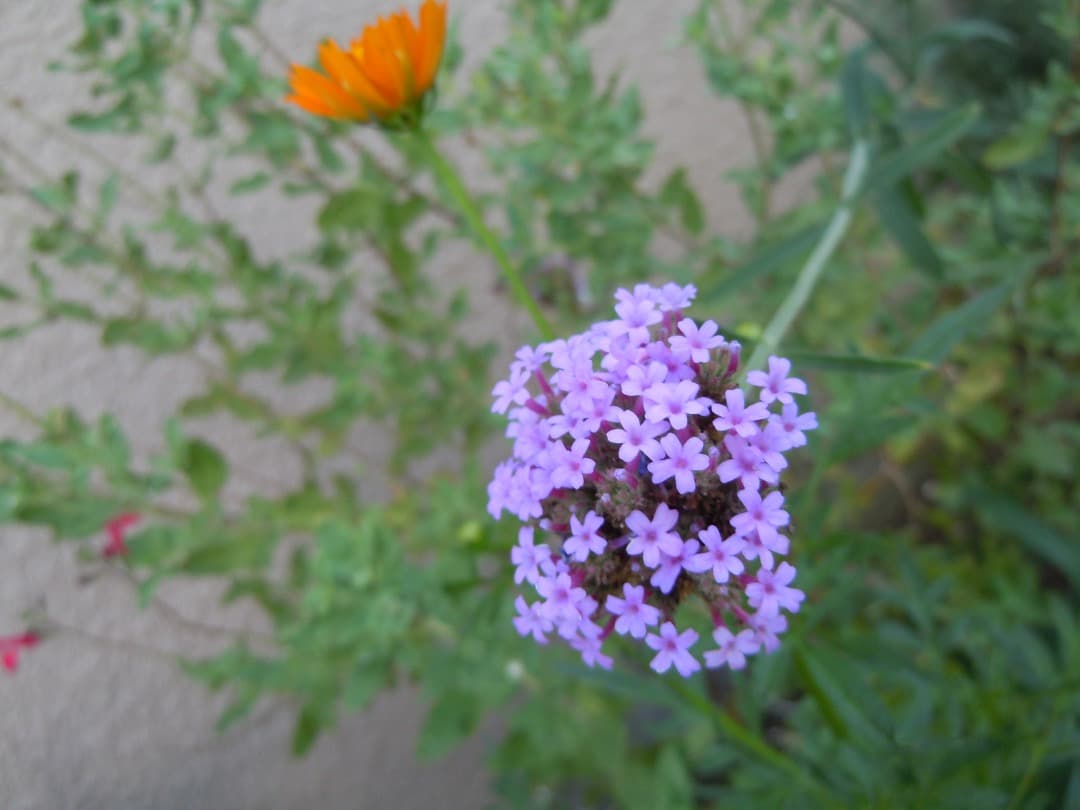 実写美⭕️【動作確認済\"訳有】Nikon COOLPIX S8000 デジカメ