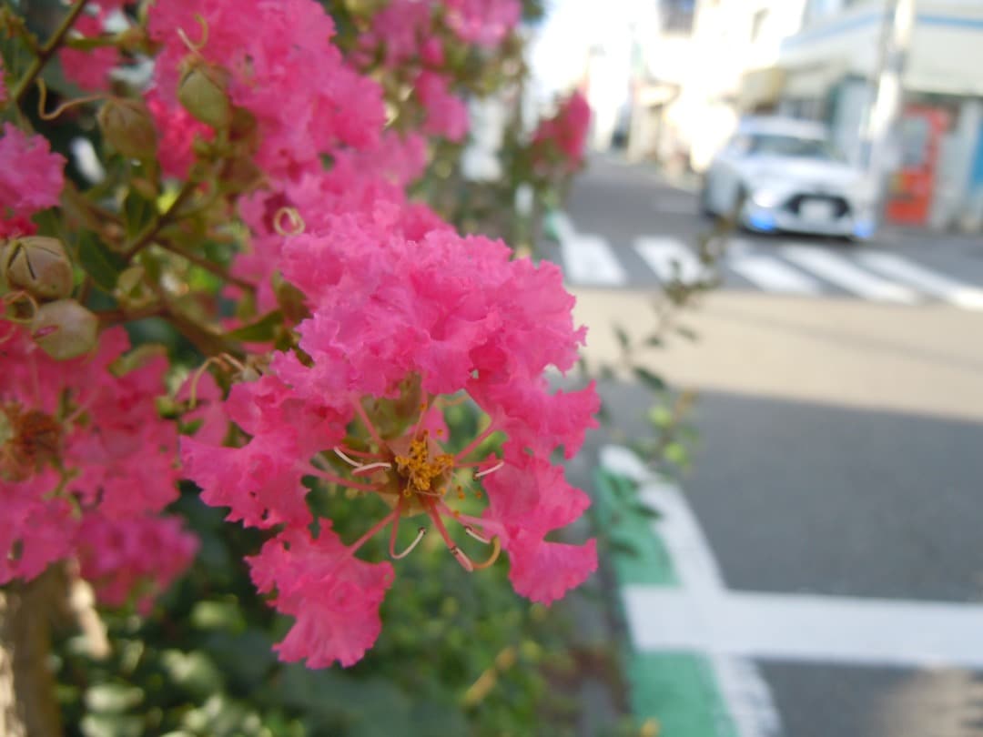 実写美⭕️【動作確認済\"訳有】Nikon COOLPIX S8000 デジカメ