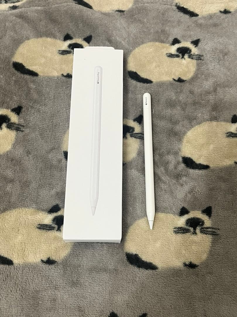 ほぼ未使用 Apple Pencil USB-C A3085 アップルペンシル
