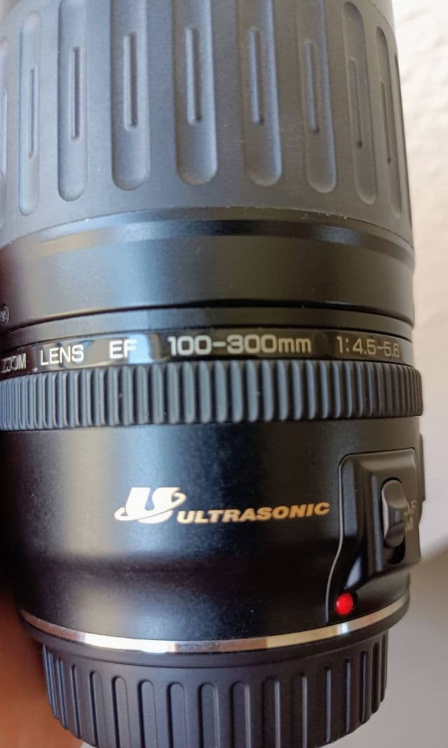 キャノンEOS Kiss Digital N 望遠レンズセット