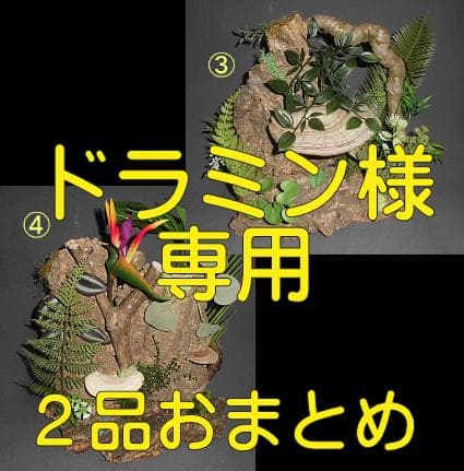 【ドラミン】棚キノコ 付コルクシェルターM ③④