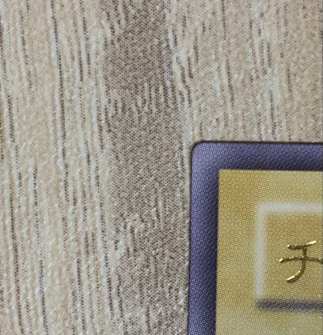 ヂェミナイエルフ レリーフ 遊戯王