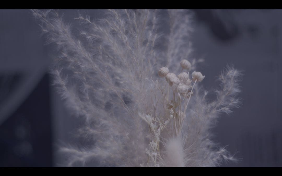 レンズ(単焦点) ISCO GOTTINGEN WESTROMAT 50mm f1.9 m42