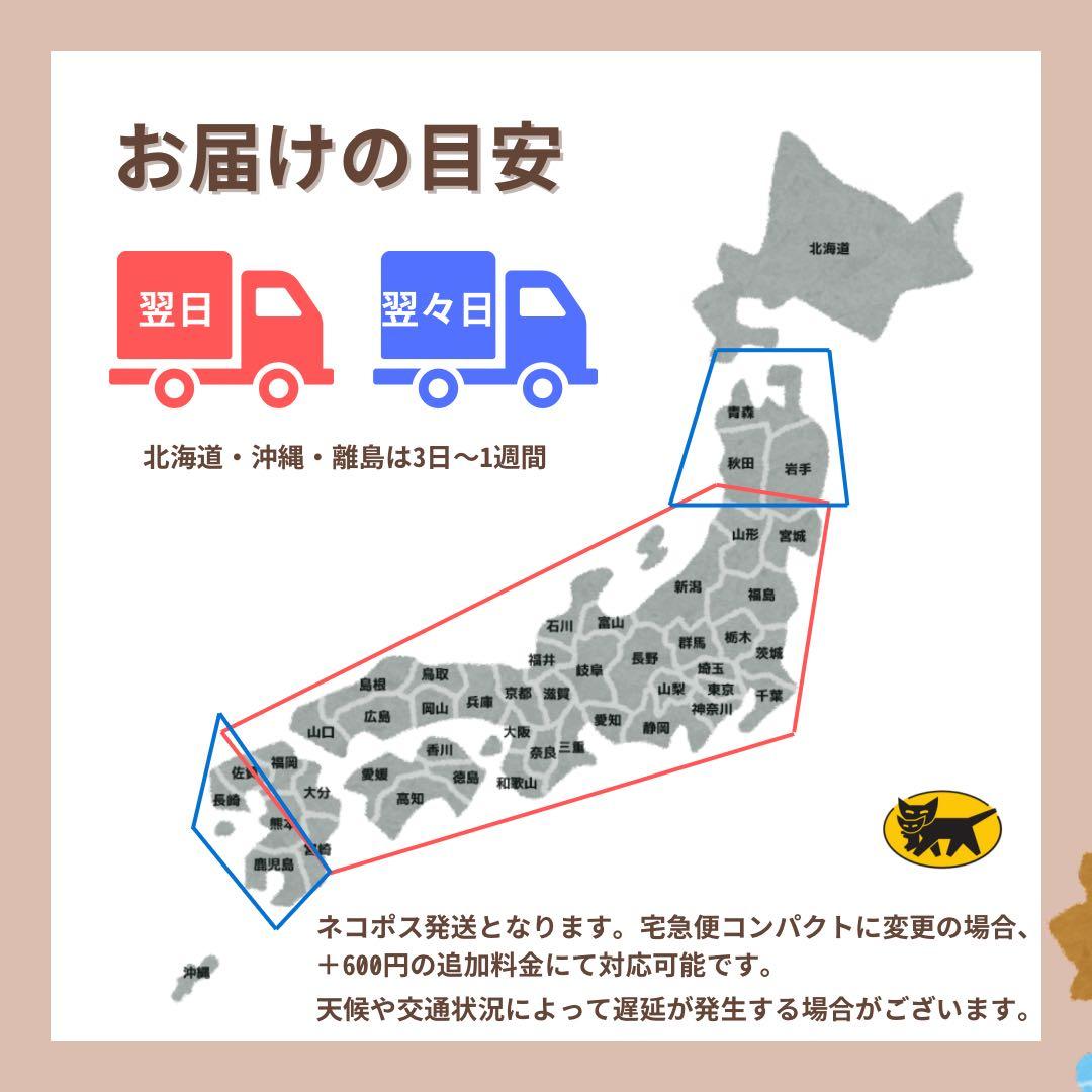 電池100% iPad Pro 11インチ　512 GB セルラー　本体