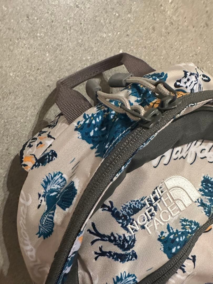 THE NORTH FACE 自然デザイン リュック