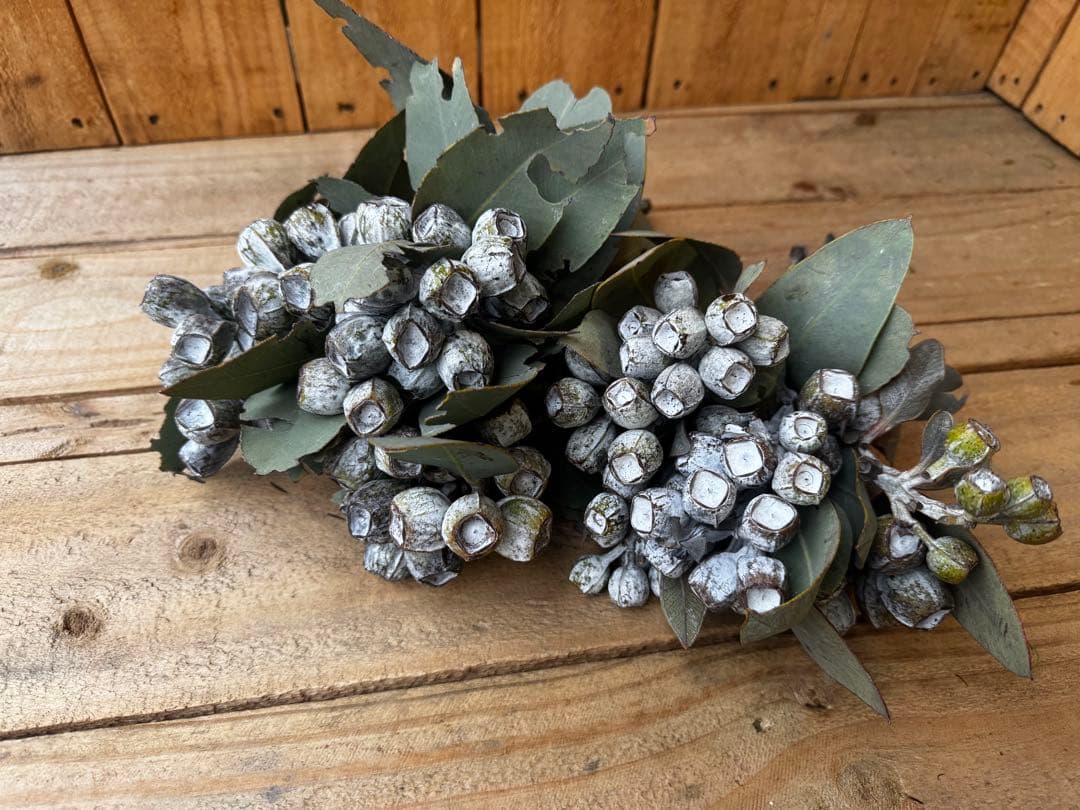 39❤︎1/7まで発送不可様 リクエスト 7点 まとめ商品