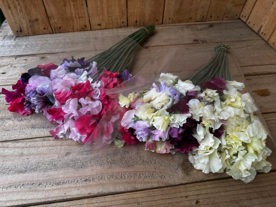 39❤︎1/7まで発送不可様 リクエスト 7点 まとめ商品