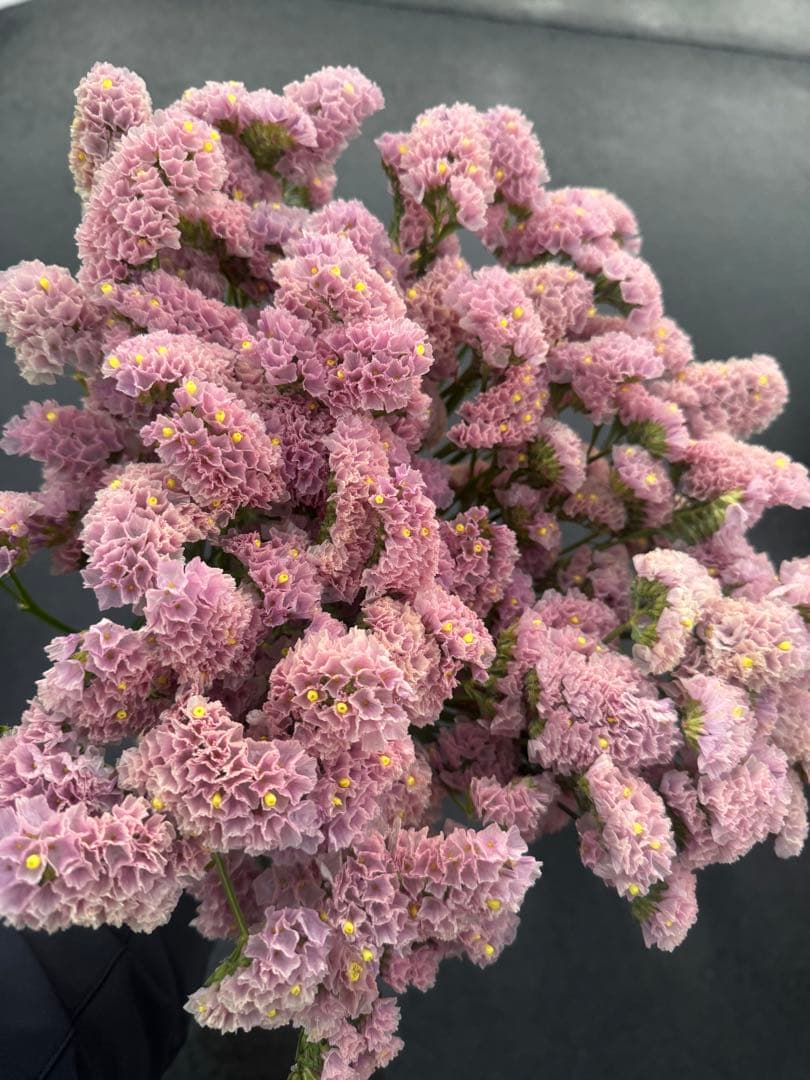 39❤︎1/7まで発送不可様 リクエスト 7点 まとめ商品