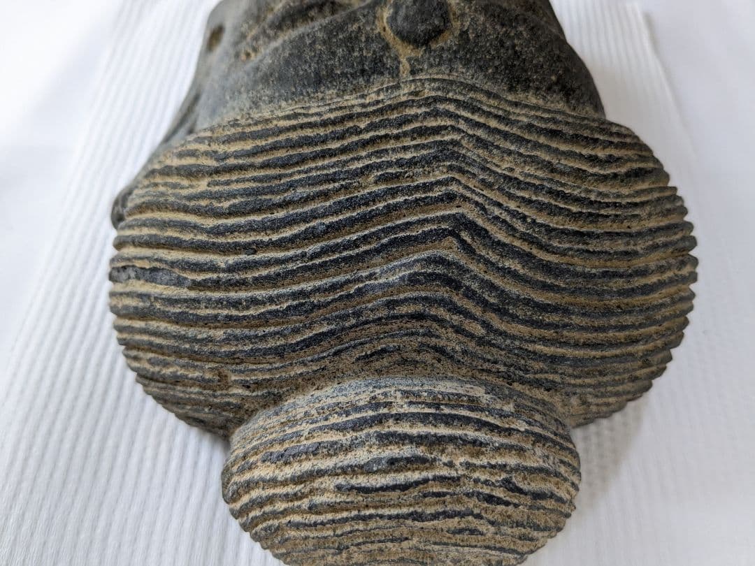 石製仏像頭部 彫刻オブジェ 中国古美術