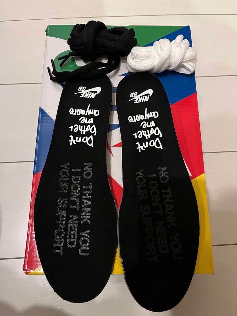 Wasted Youth × Nike SB Dunk Low 27㎝