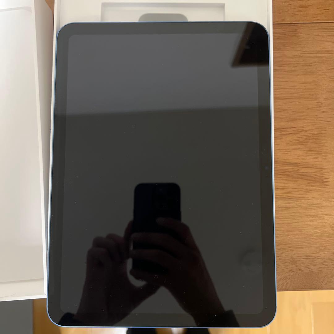iPad本体 Apple iPad (A16) 256GB Wi-Fi + Cellular