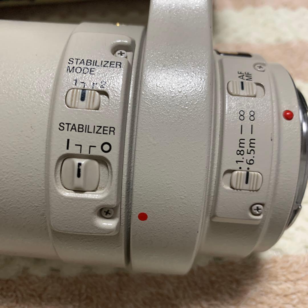 Canon EF 100-400mm f/4.5-5.6L IS USMケース付