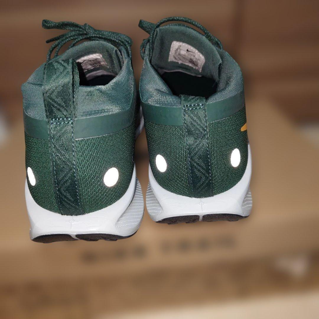 ナイキ ペガサス トレイル 5 GORE-TEX 29cm GTX 防水 美品