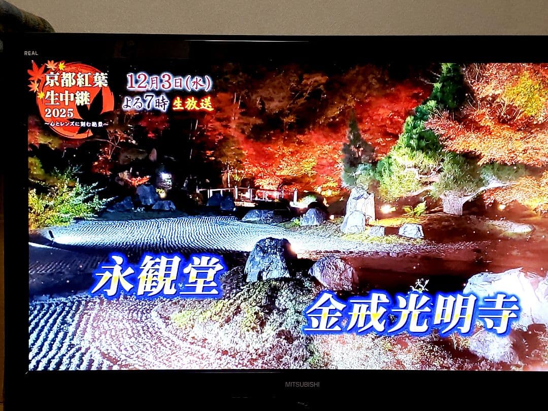 ❤️三菱ハイビジョンテレビ❤️40インチ❤️ブルーレイディスクレコーダー内蔵