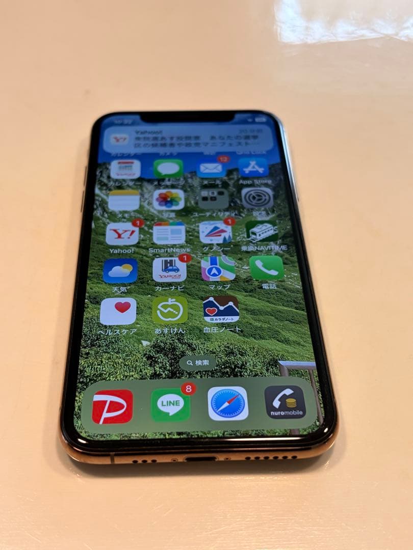 【美品】完動品 iPhoneXs ゴールド 256GB オマケ付き！