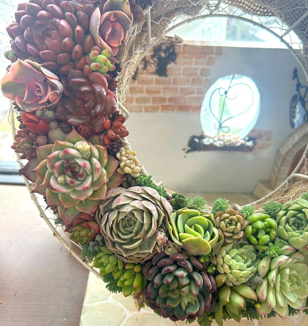 ❤️多肉植物そのまま飾れる❤️グラデーションリース❤️アイアンリース大きめ約35㎝