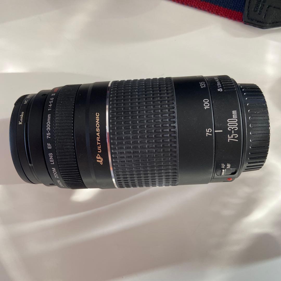 Canon EOS 4000D レンズ2本 カメラバッグ付き