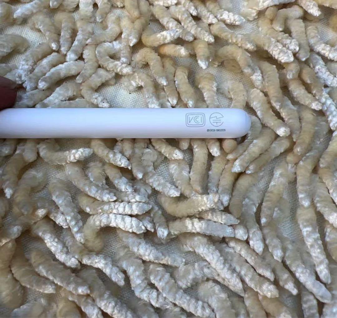 Apple Pencil（第2世代）MU8F2J/A