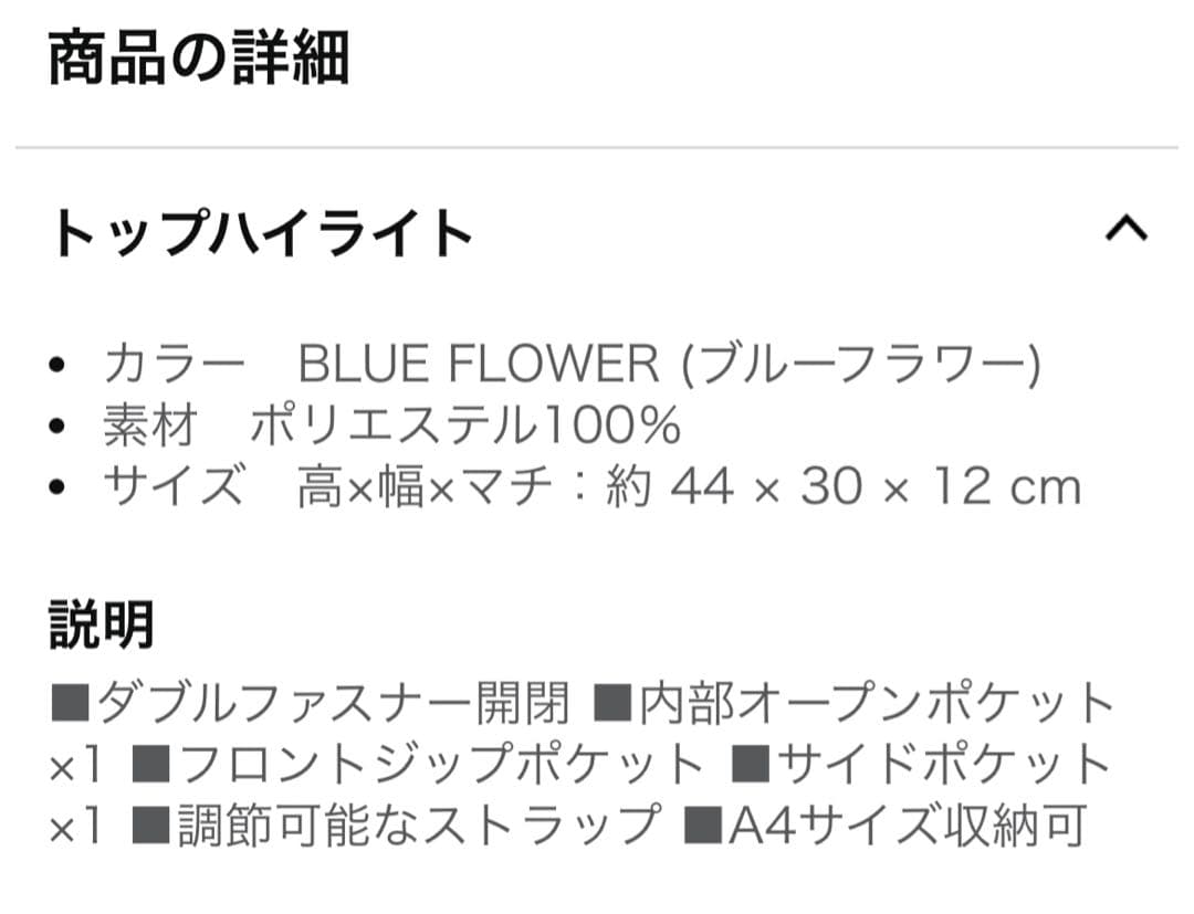 POLO RALPH LAUREN 風景柄リュック 水色