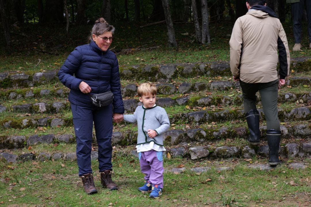 美品　LUMIX S 28-200 mm F4-7.1 MACRO Lマウント