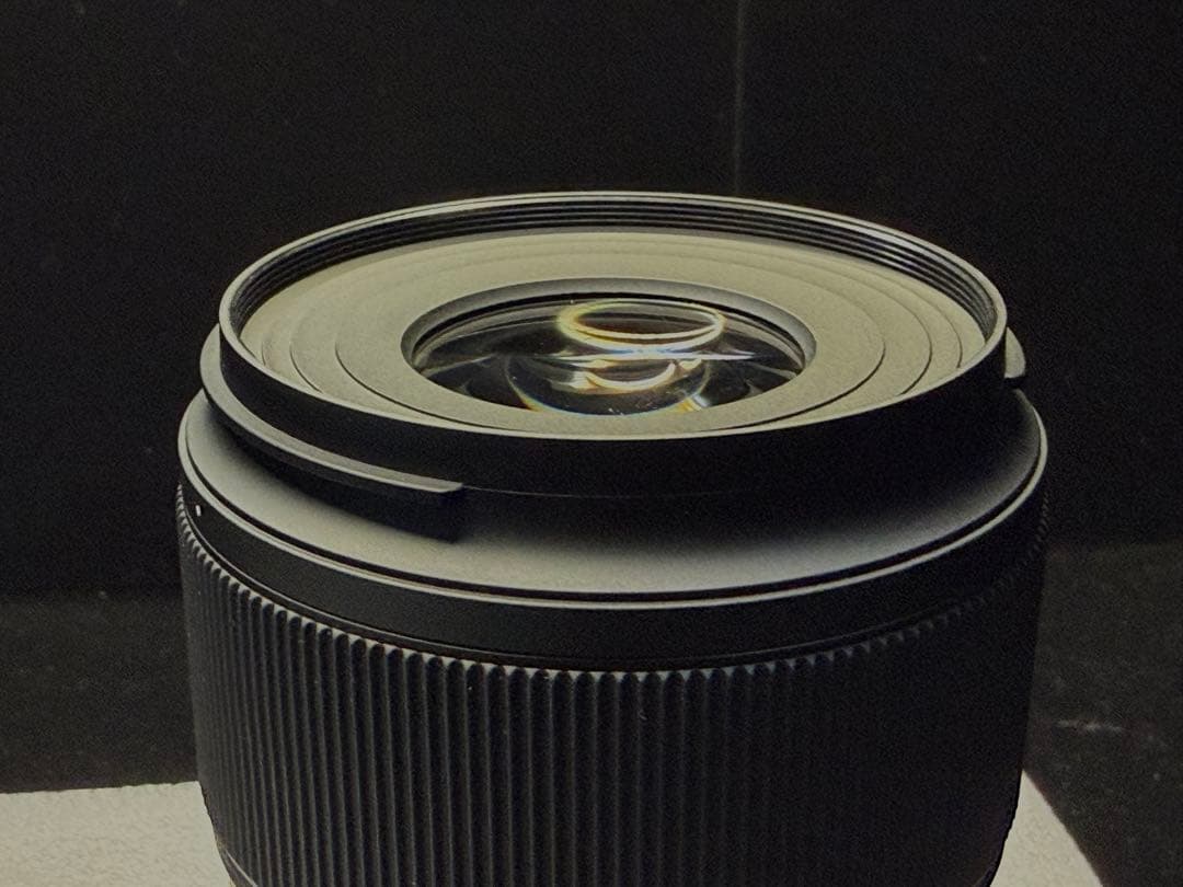 タムロン 90mm F2.8 Di III MACRO VXD ソニーE用