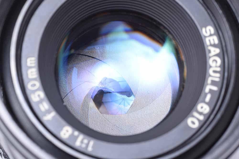 シーガル Seagull DF5000 ルイジ・コラーニ氏デザイン