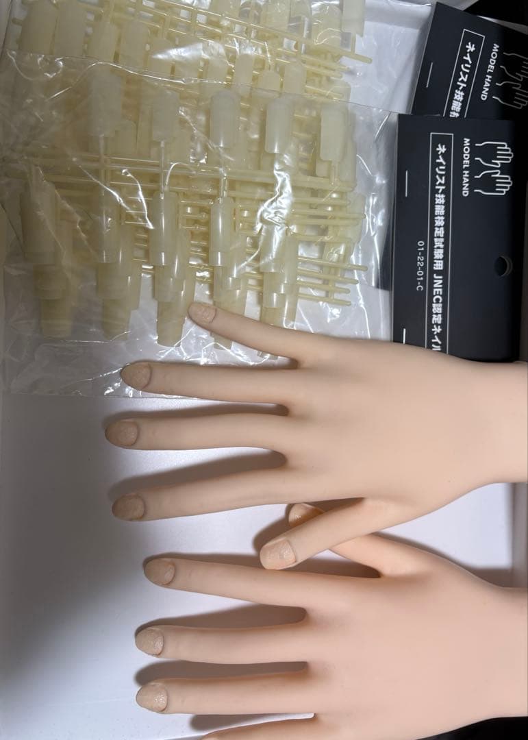 JNEC認定モデルハンド（両手） ネイルチップⅹ2