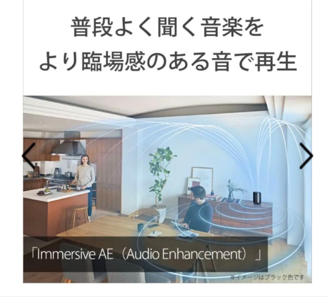 SONY ワイヤレススピーカー SRS-RA3000 2024製