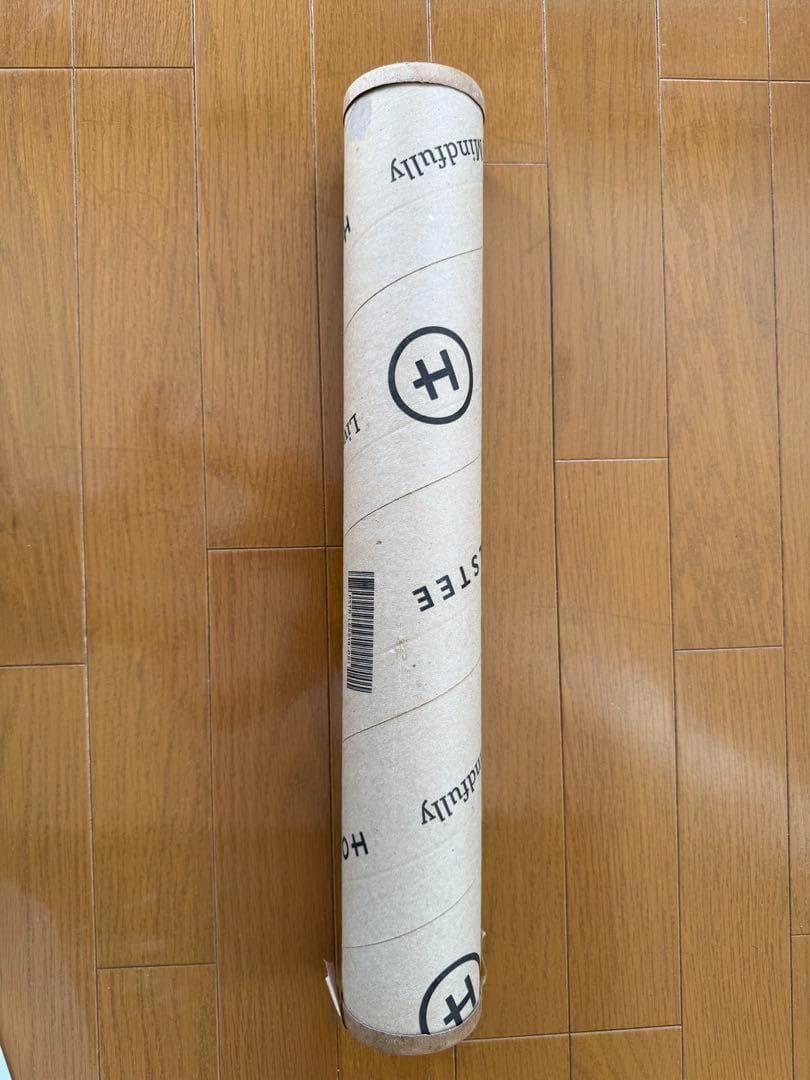 Dieter Rams ディーターラムス ポスター BRAUN TP 1