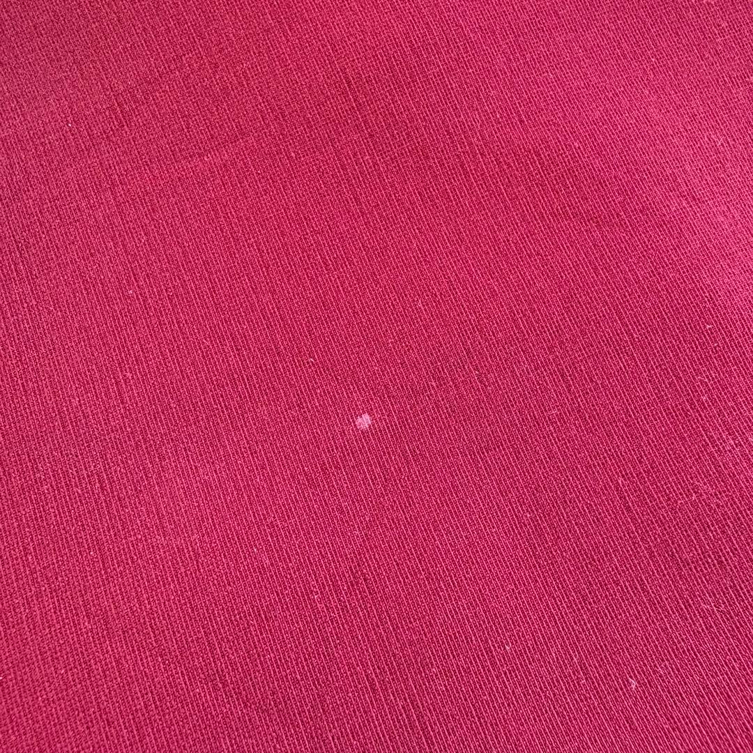 旧タグ カナダ製 アークテリクス ガンマSV ソフトシェルジャケット ビンテージ