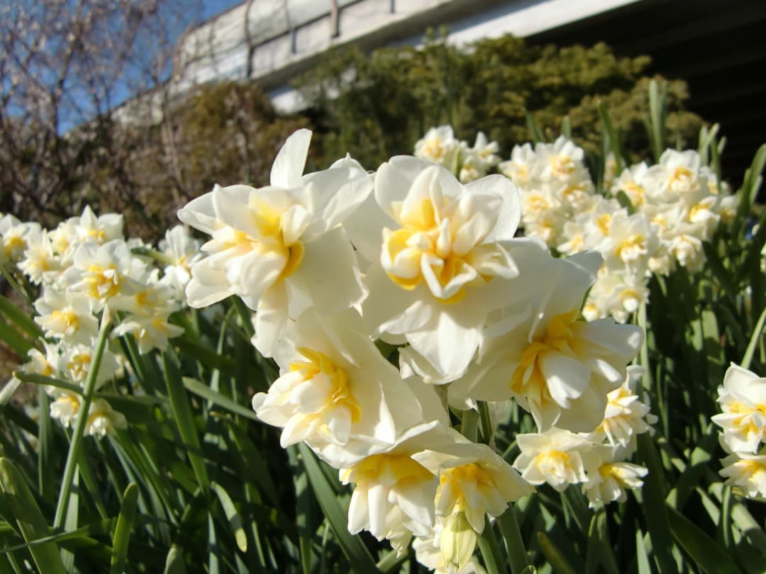 実写良⭕️【動作確認済】CASIO　EXILIM　EX-Z450　デジカメ