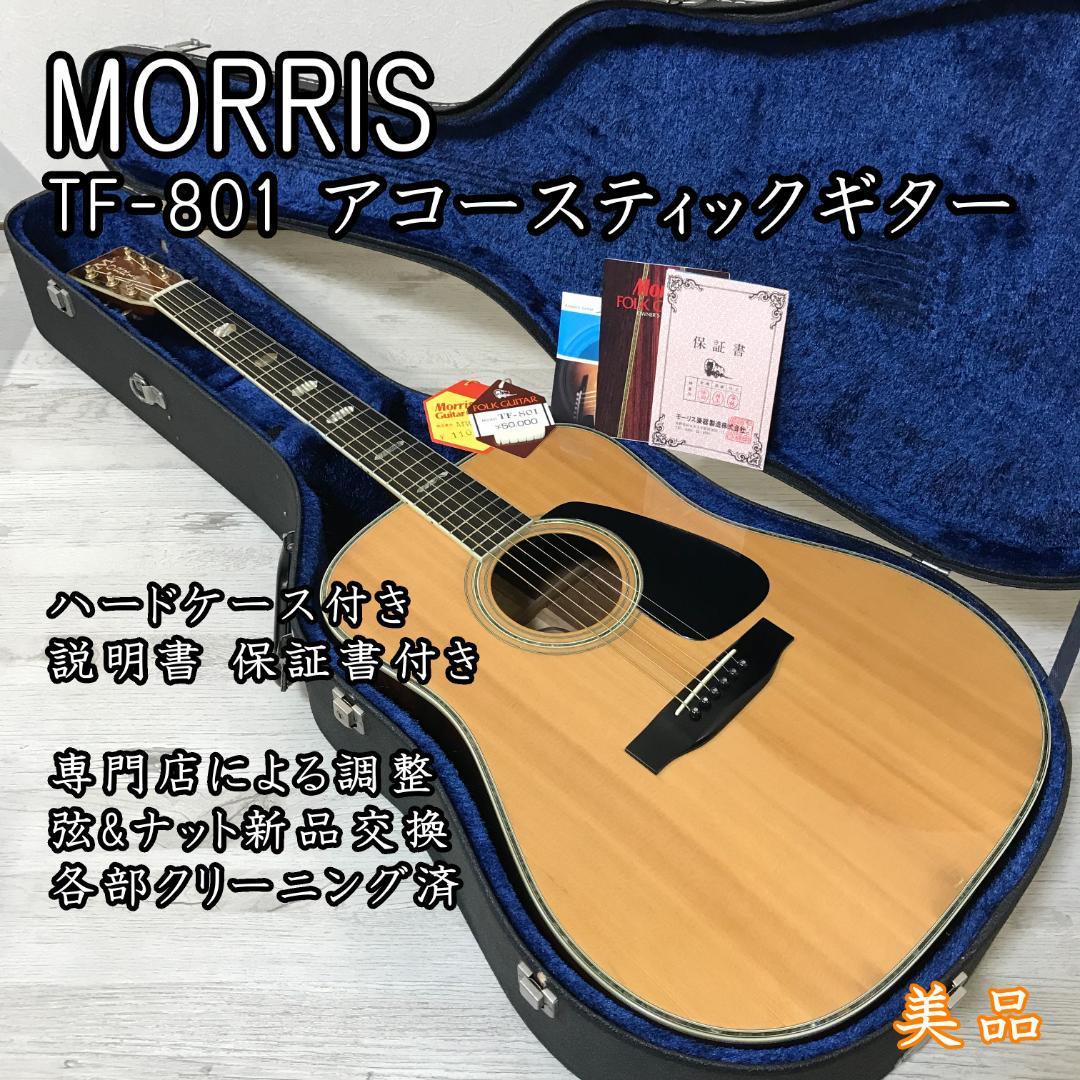 【整備品/良品】MORRIS TF-801 アコースティックギター ハカランダ
