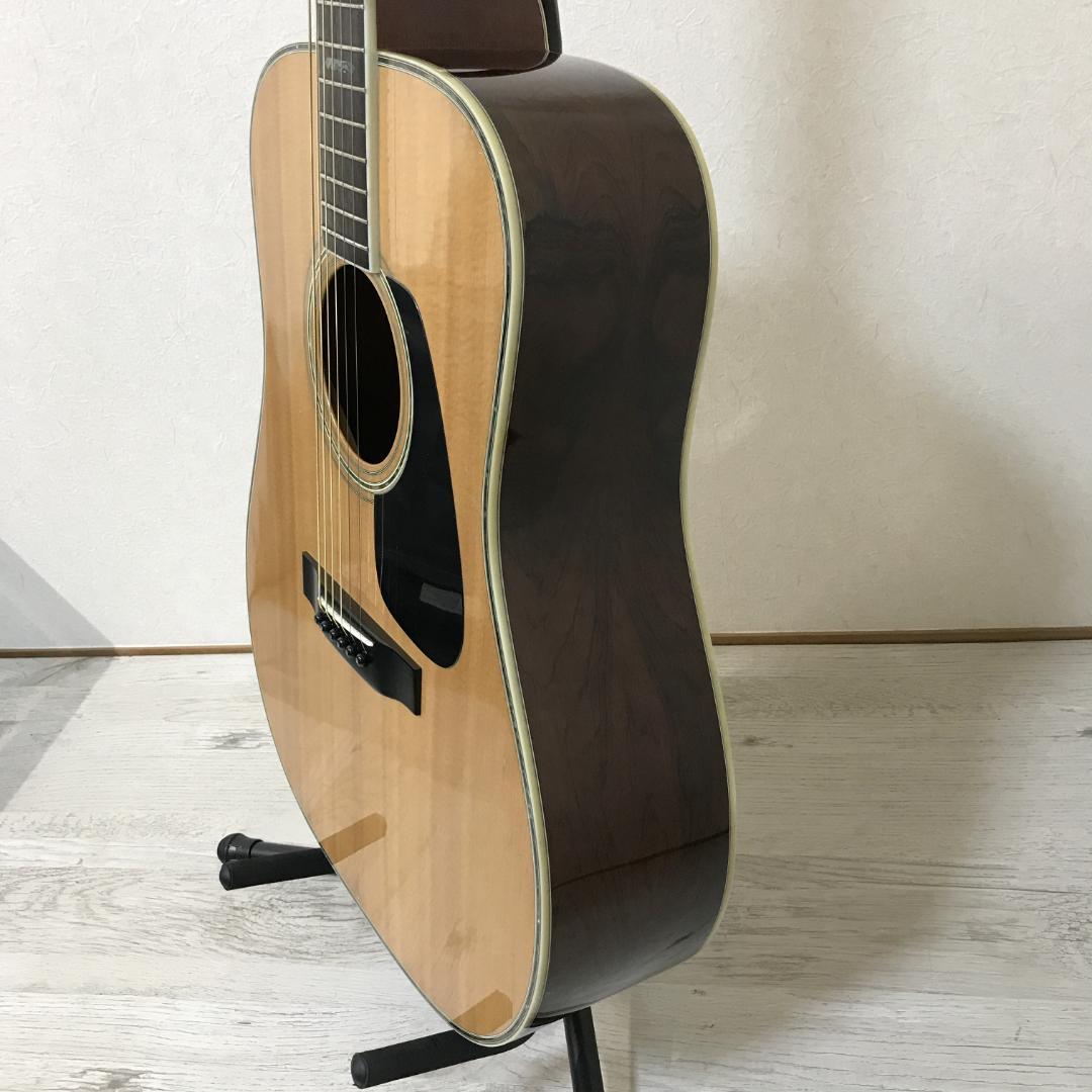 【整備品/良品】MORRIS TF-801 アコースティックギター ハカランダ