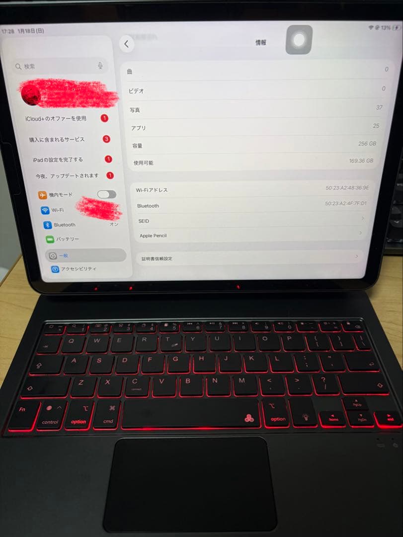 iPad本体 iPad Air5 256GB