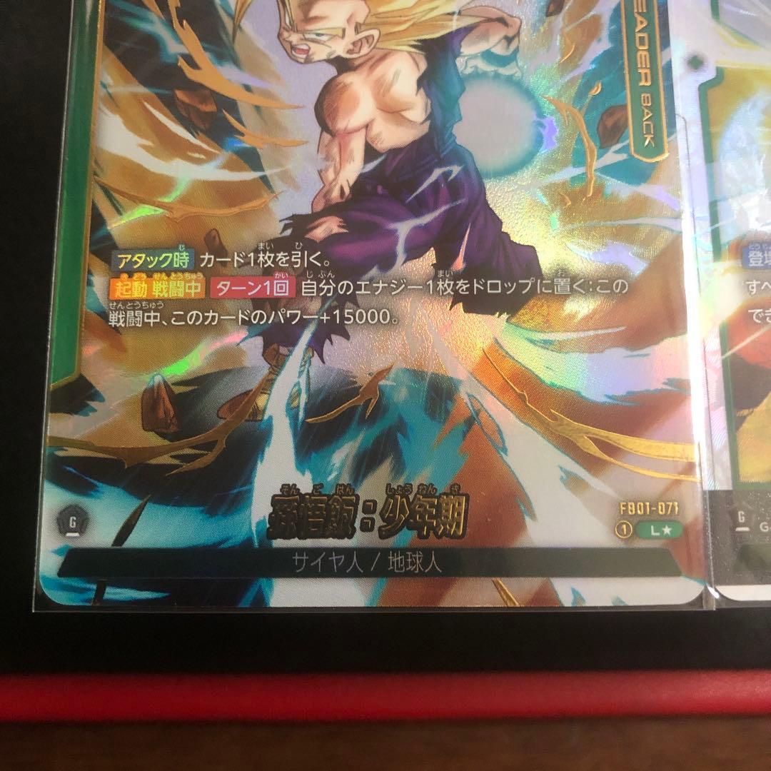 DB覚醒の鼓動　Lパラ・SEC ２枚セット