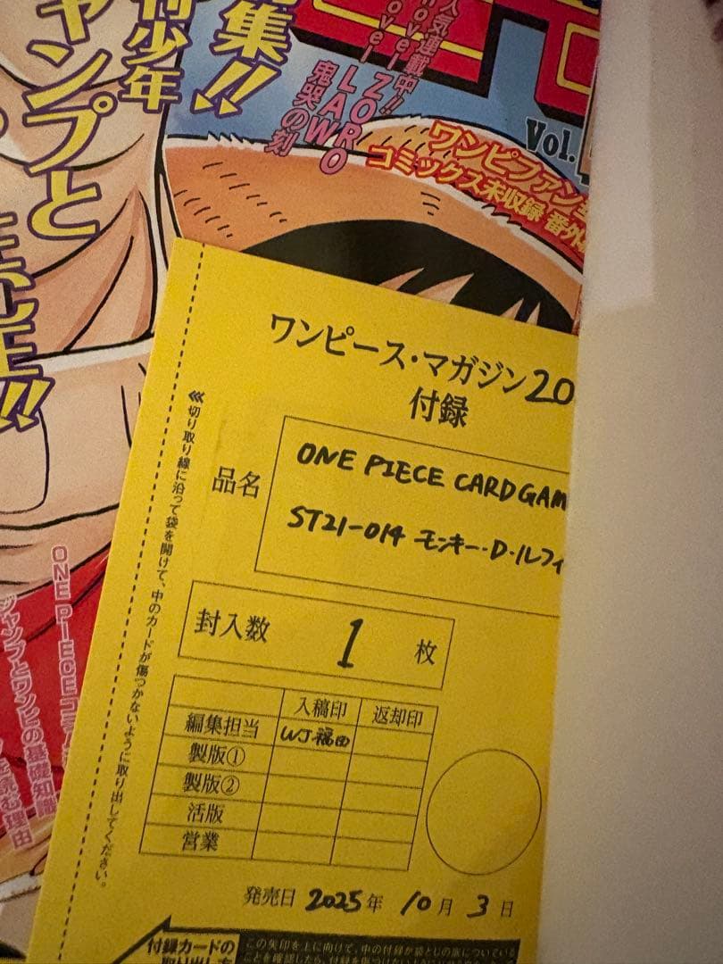 ONE PIECE magazine ワンピースマガジン20号 2冊