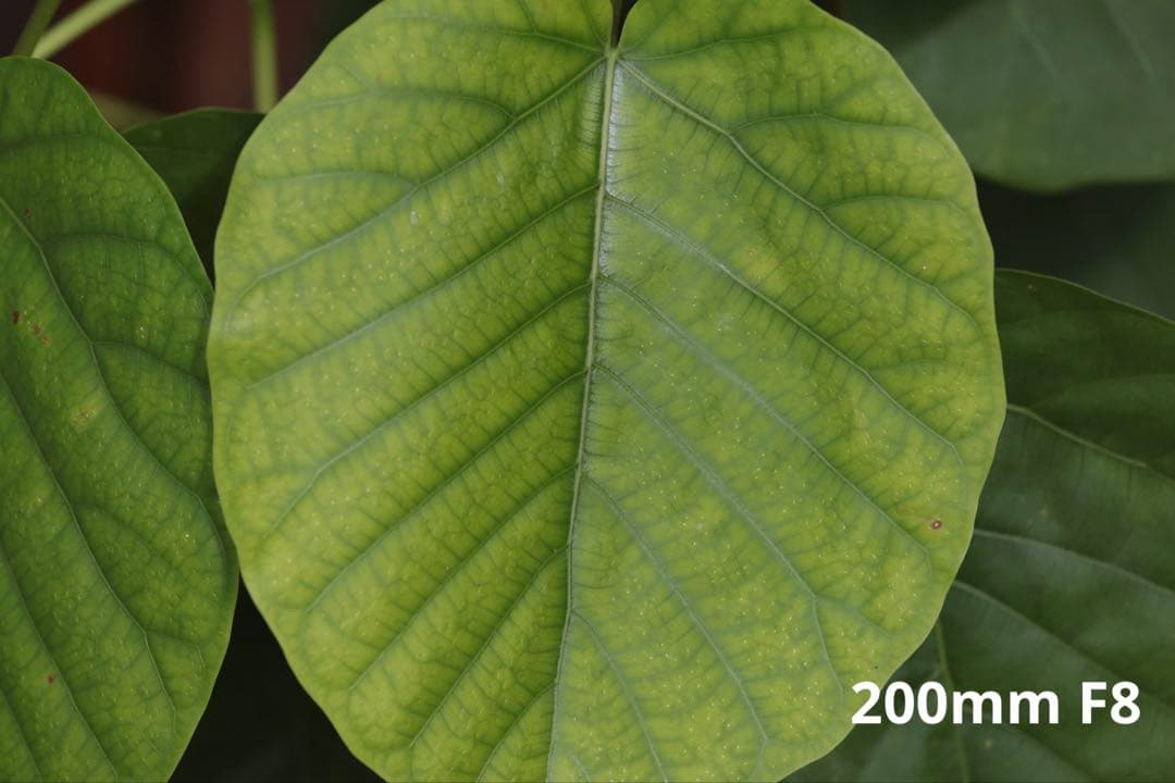 レンズ(ズーム) Canon EF70-200mm F4L IS USM