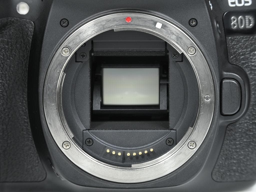 【美品】 キヤノン　Canon EOS 80D ボディ