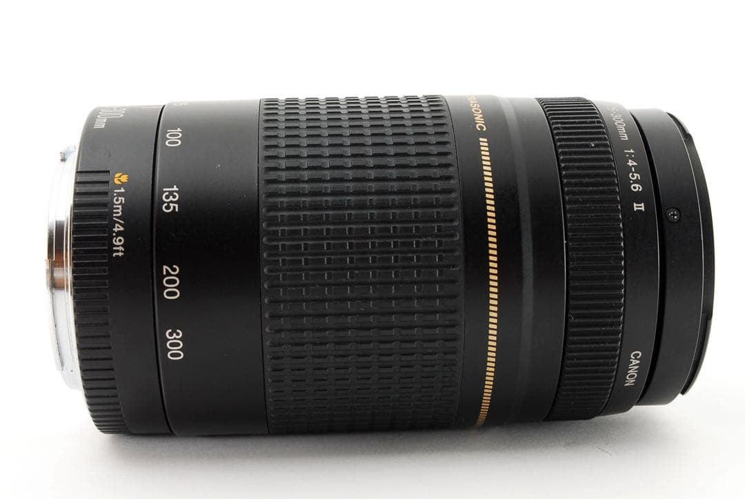 人気の望遠レンズ/キヤノン/フード付き/Canon EF75-300㎜