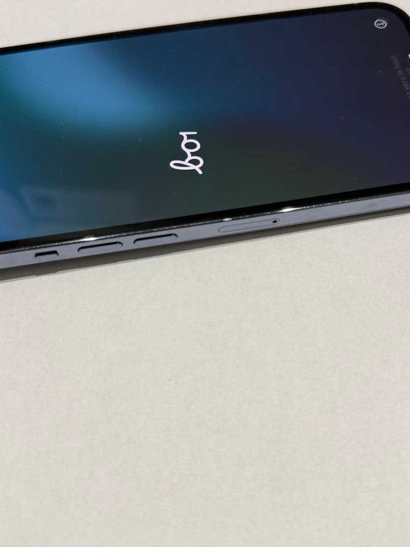 Apple iPhone 13 Pro 1TB シエラブルー