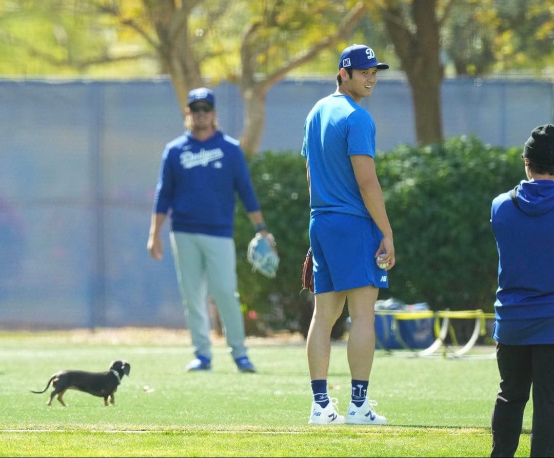 ニューバランス FUELCELL OHTANI1 Trainer ブルー大谷翔平