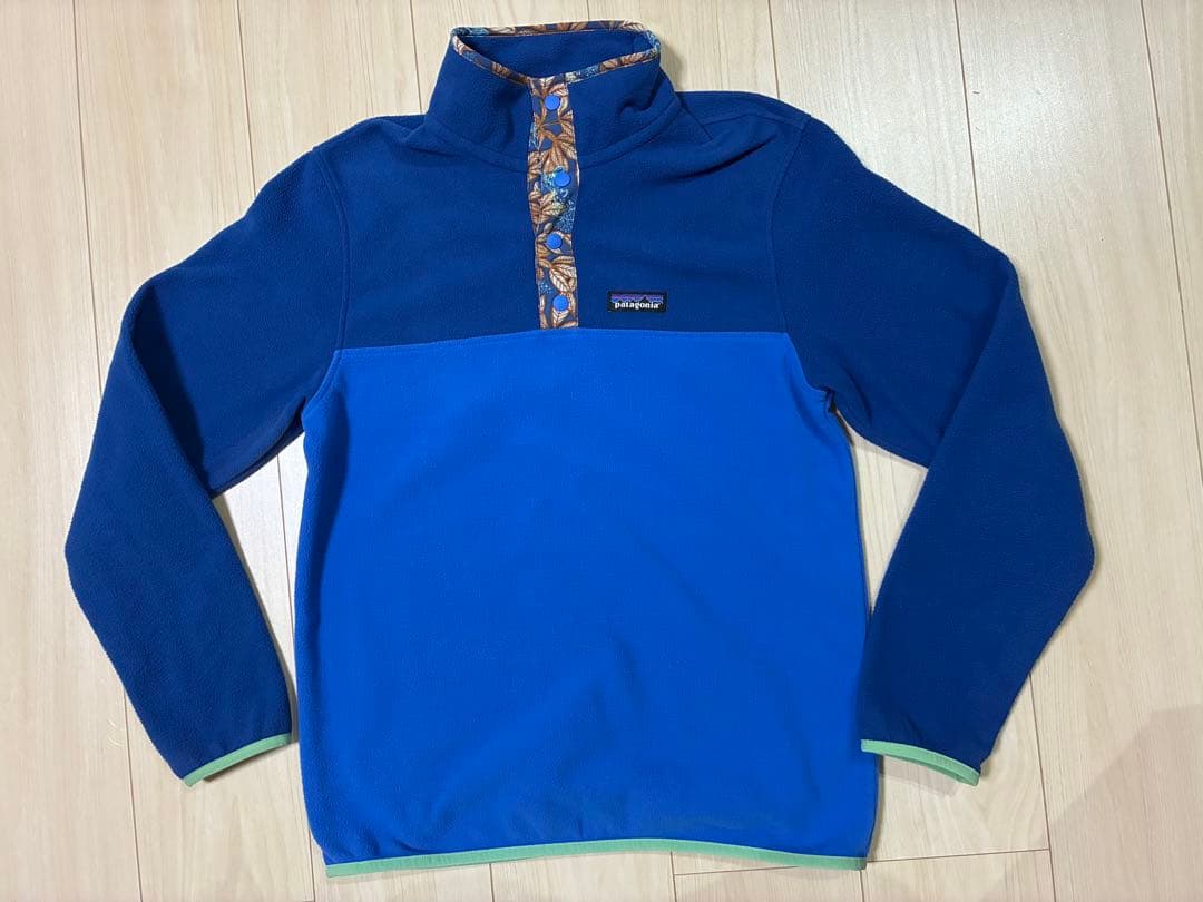 patagonia パタゴニア マイクロD スナップT