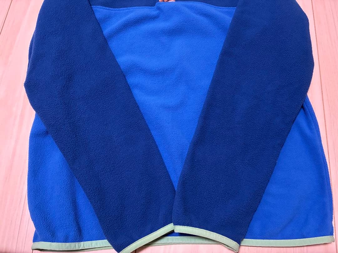 patagonia パタゴニア マイクロD スナップT