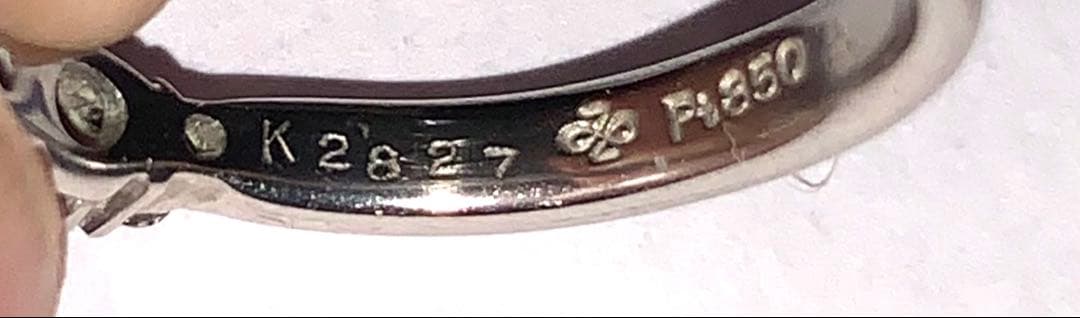 アクセサリー T ANZ