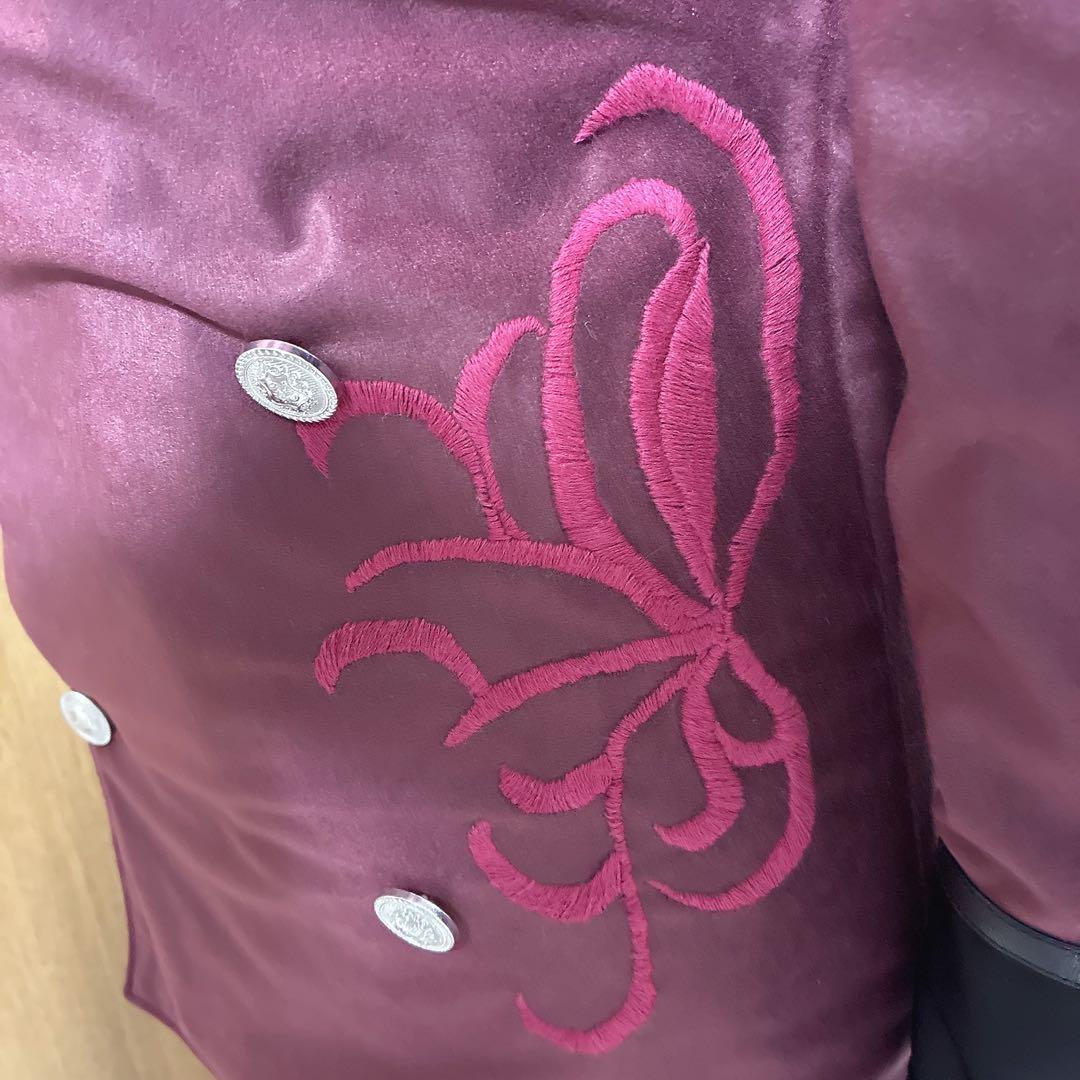 【メカイーブイ様】仮面ライダーセイバー　神代凌牙　ソードオブロゴスジャケット