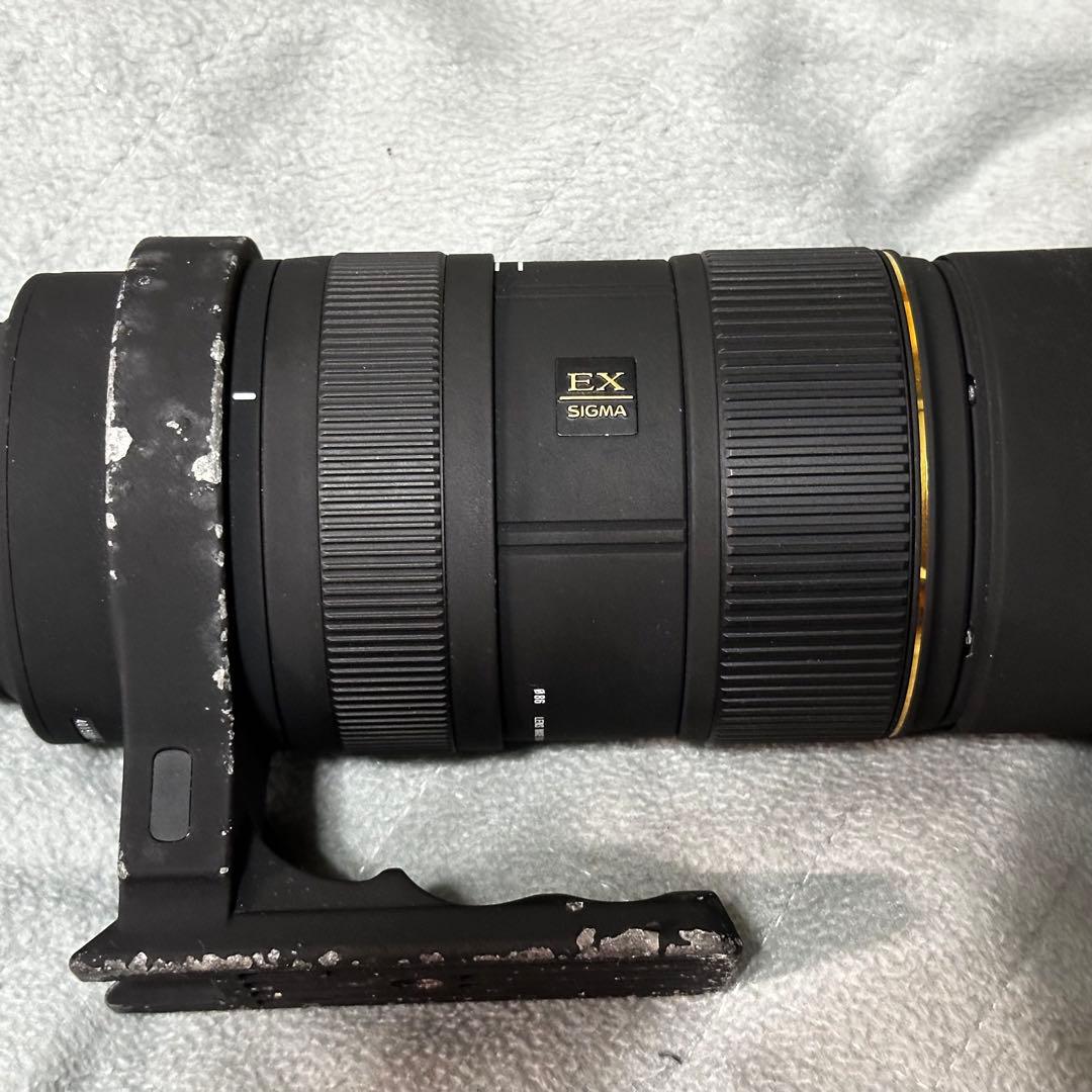 SIGMA 50-500mm F4-6.3 PENTAX Kマウント