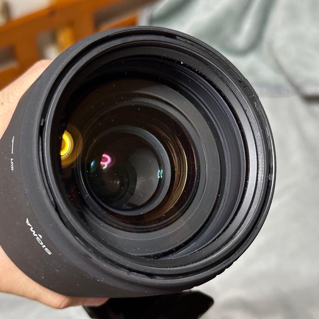 SIGMA 50-500mm F4-6.3 PENTAX Kマウント