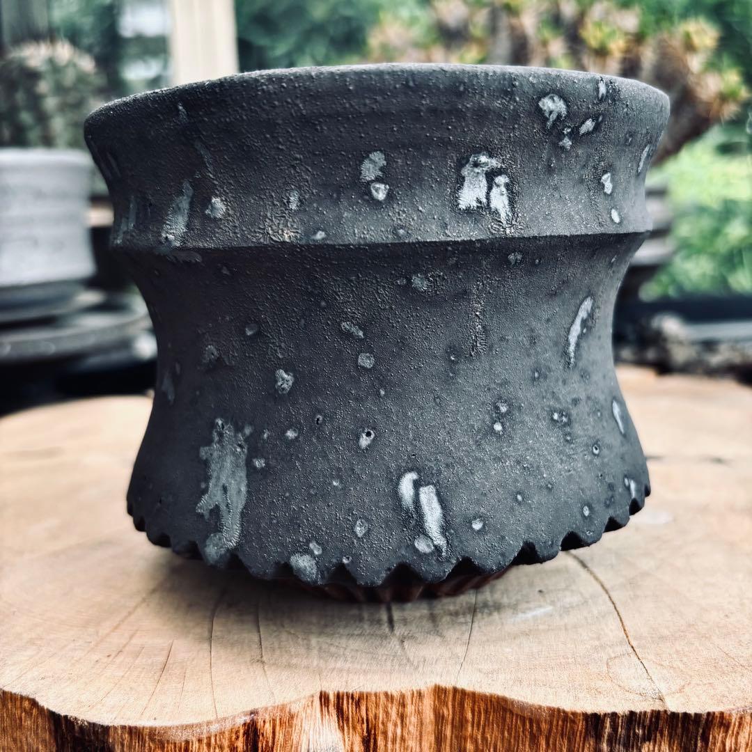 短期間限定大幅値下げ！新品未使用 菊地元野 作家鉢 アガベ パキプス グラキリス